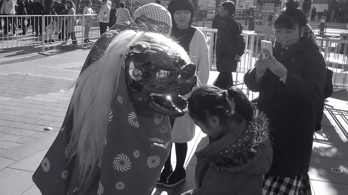 屋外イベントで子どもの頭を噛む獅子舞